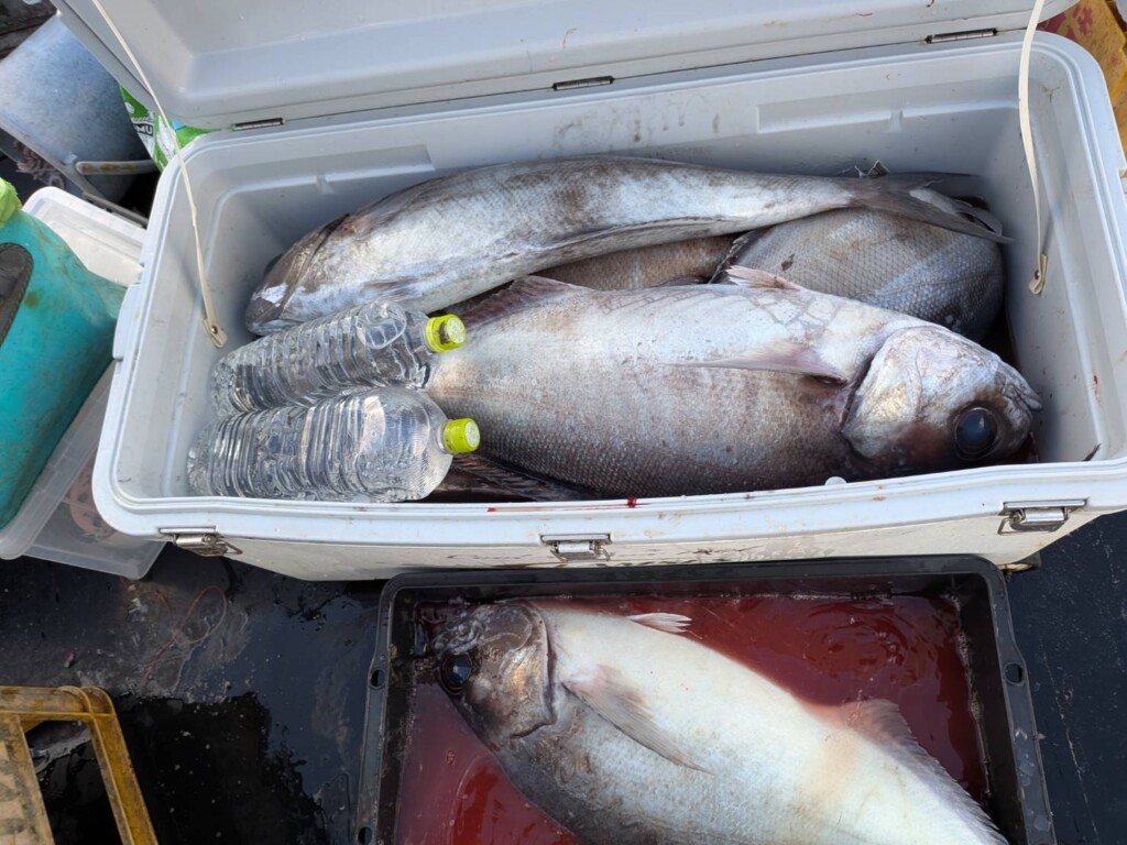 鳥取 の最新記事アイキャッチ