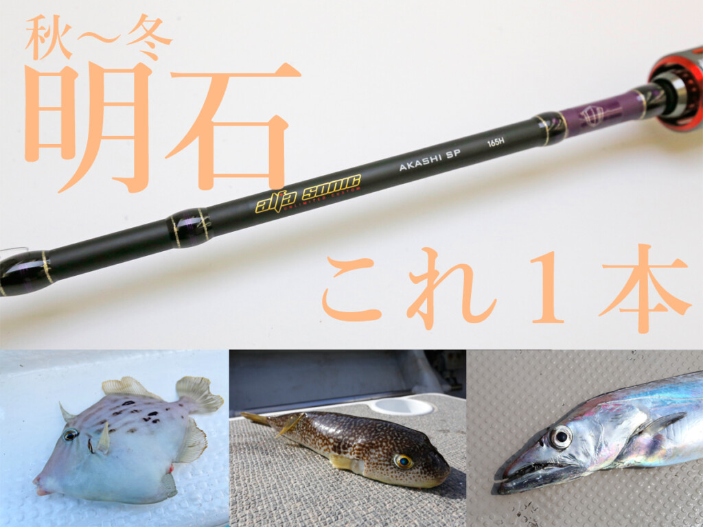 超地域密着】これからの明石、この竿1本で事足りる。「アルファ