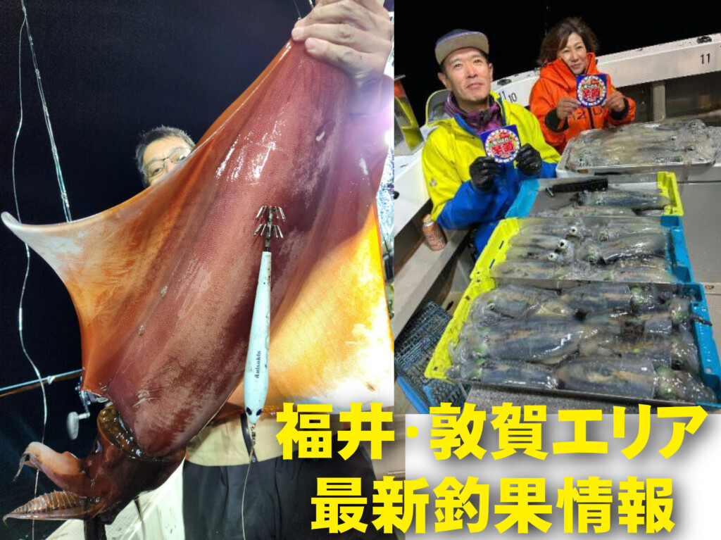 福井 の最新記事アイキャッチ