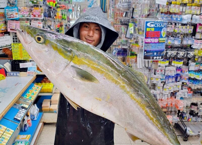 ブリ91cmが2連発！サゴシにアオリイカも好調です【関西の堤防釣り最新