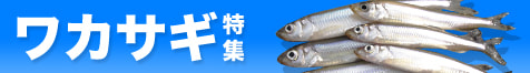 ワカサギ特集2025