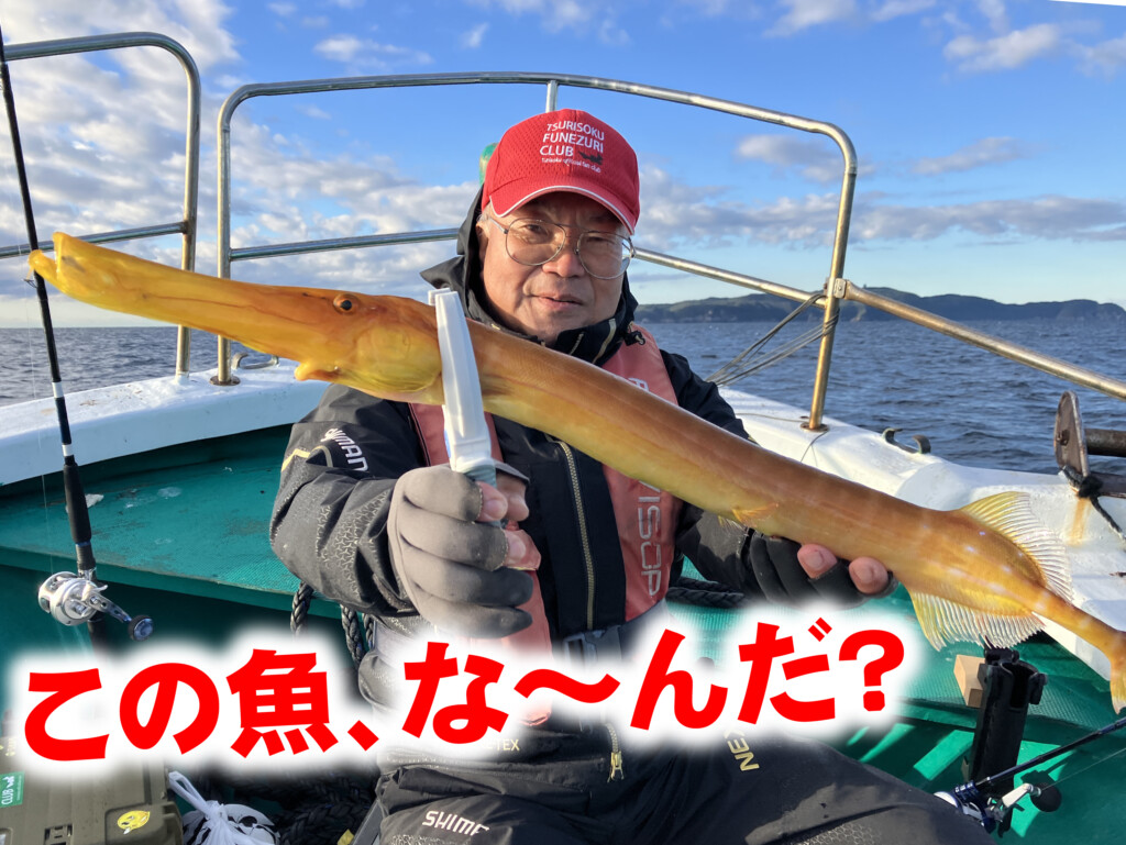 知ってたら、お魚博士認定!?】めちゃくちゃ美味なアカヤガラ？ いや