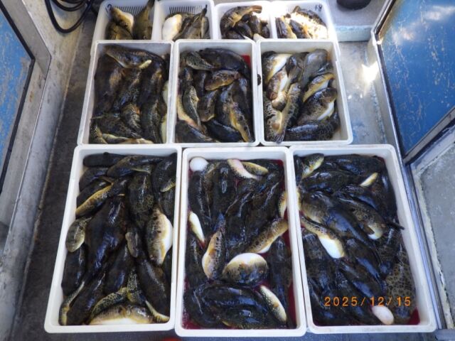 愛知 の最新記事アイキャッチ