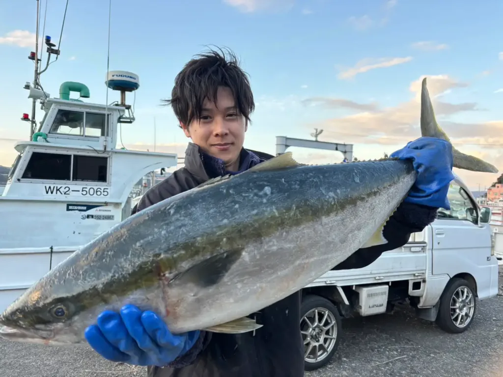 串本のカセで肥えたブリ、メジロが釣れています！シロアマダイも