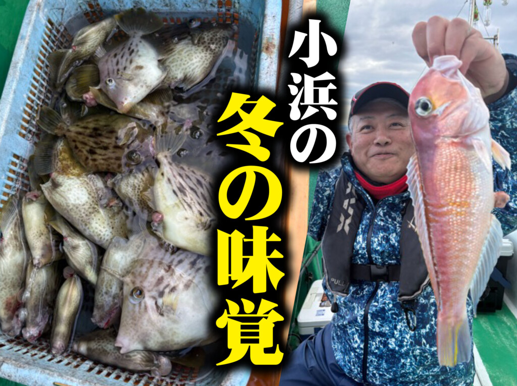 福井 の最新記事アイキャッチ