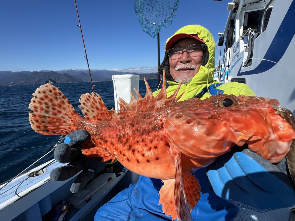 オニカサゴの釣り方】刺されたら激痛、食べたら天国。愛昌丸で楽しむ