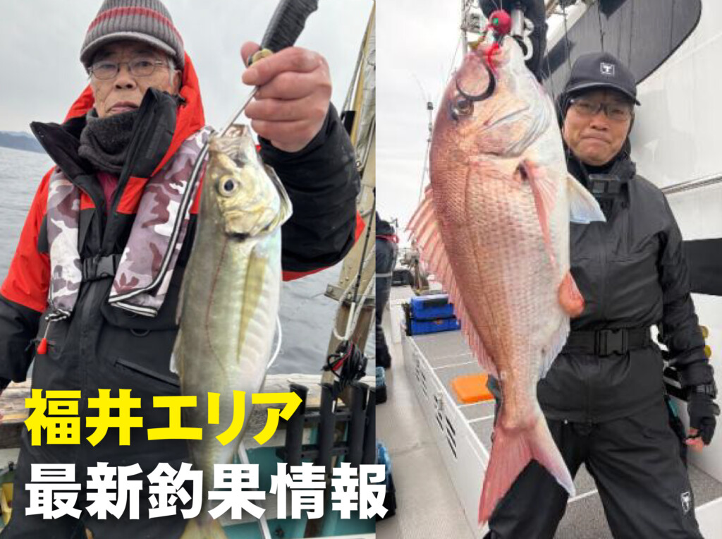 福井 の最新記事アイキャッチ