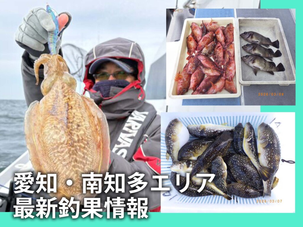 愛知 の最新記事アイキャッチ