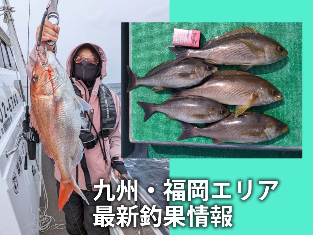 福岡 の最新記事アイキャッチ