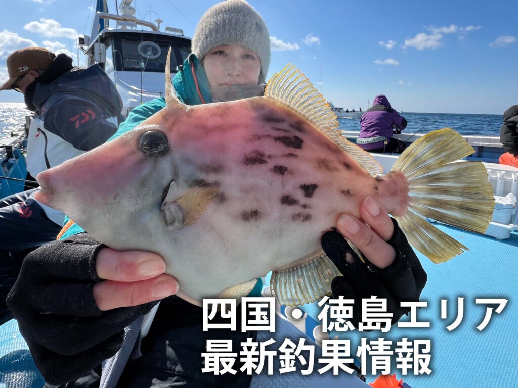 徳島 の最新記事アイキャッチ