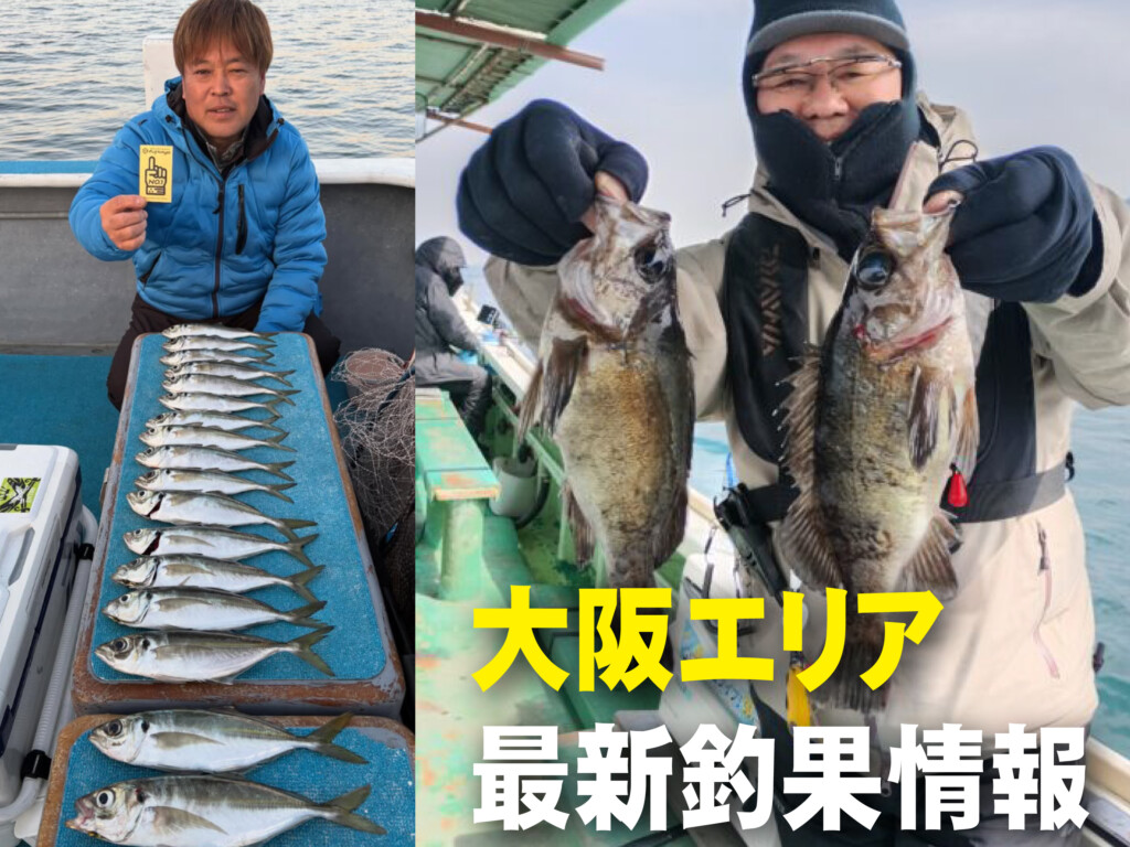 大阪 の最新記事アイキャッチ