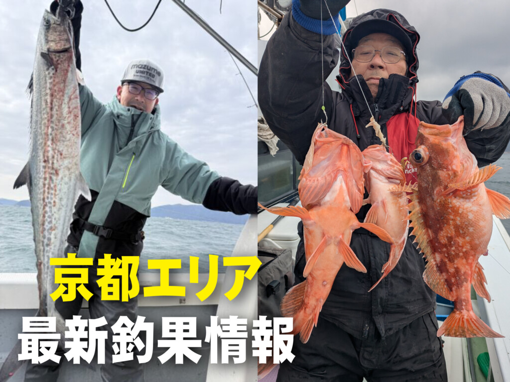 京都 の最新記事アイキャッチ