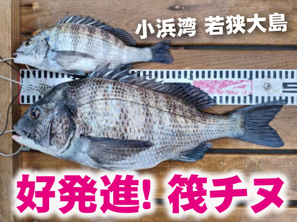 福井 の最新記事アイキャッチ