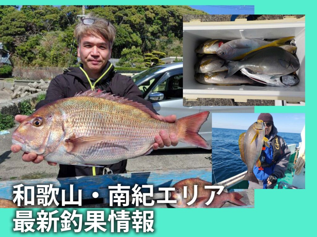 和歌山 の最新記事アイキャッチ