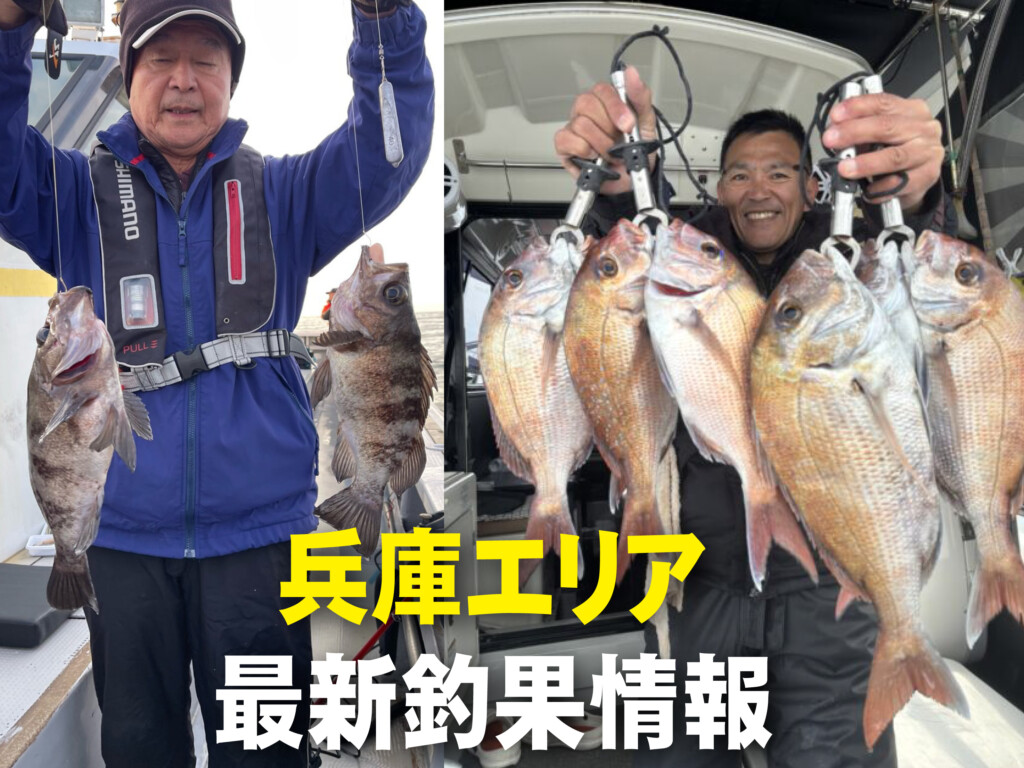 兵庫 の最新記事アイキャッチ