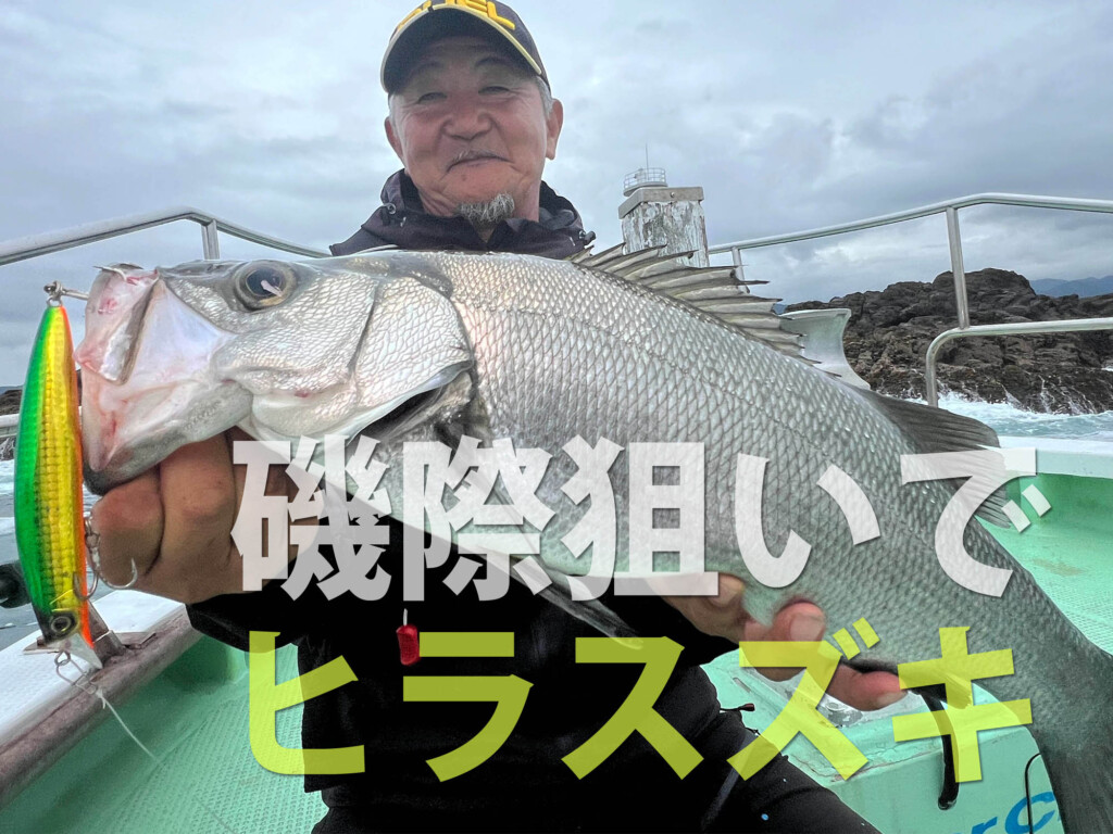 高級魚「ヒラスズキ」がこれから面白い！ワンチャンスを期待してルアー