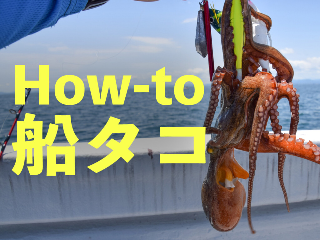 タコふね 2026年最新版】今年の夏は美味しいタコを釣る！ ゼロから始める船タコ