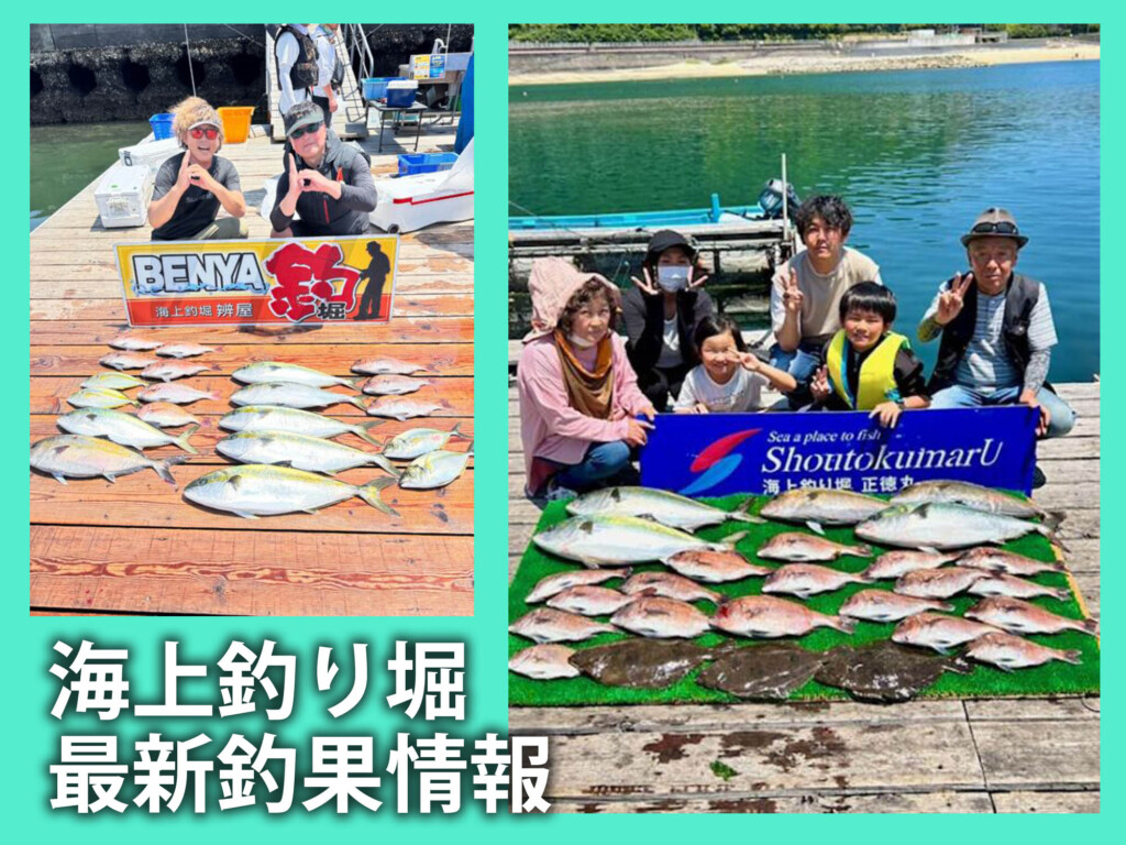 大阪の釣り堀ではカンパチの放流がスタート！三重の釣り堀では