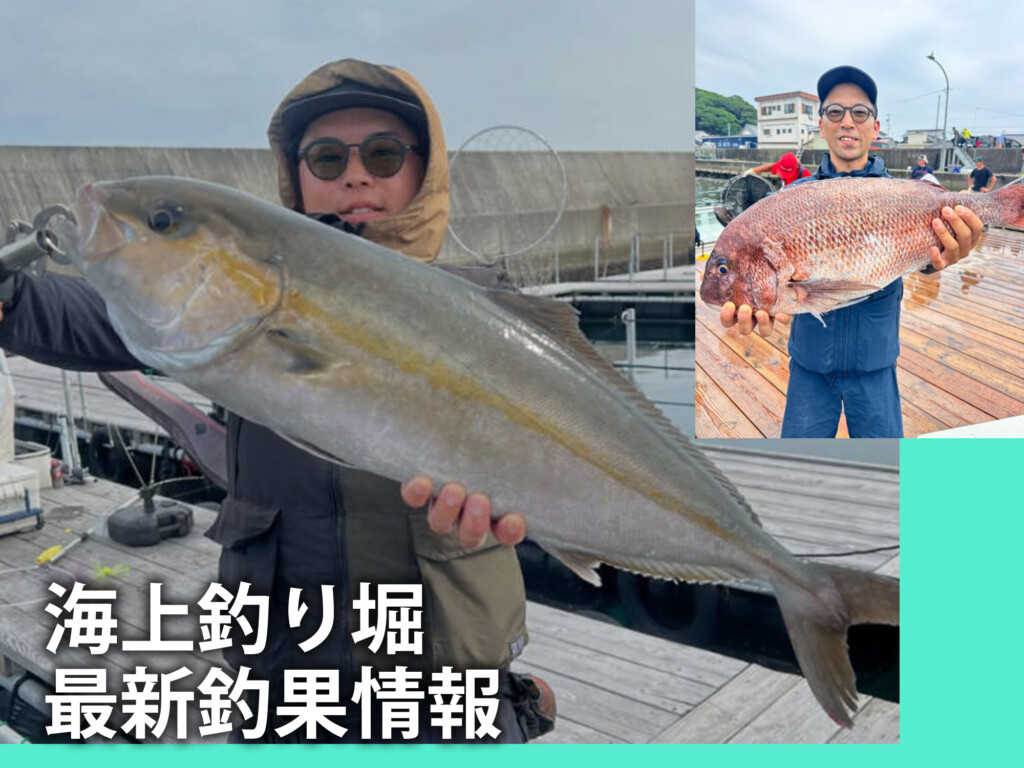 大物釣り 大阪で大型シマアジ、三重では大型マダイにヒラメが上がっていました